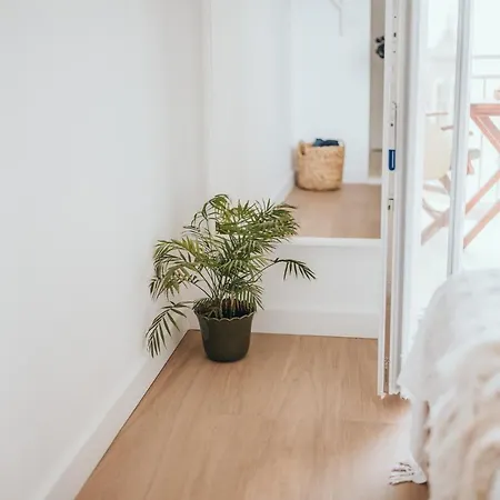 Anatota Hvar بيت ضيافة