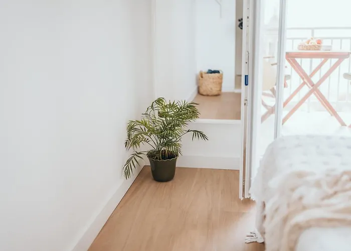 Anatota Hvar Guest house