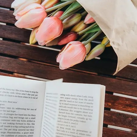 Vendégház Anatota Hvar Hvar Town