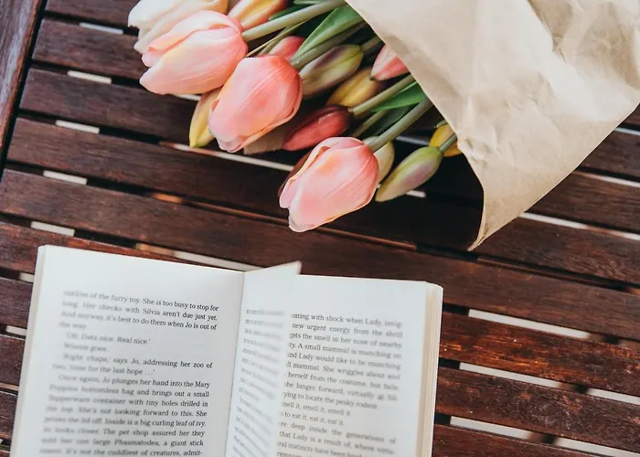 בית הארחה Anatota Hvar חוואר